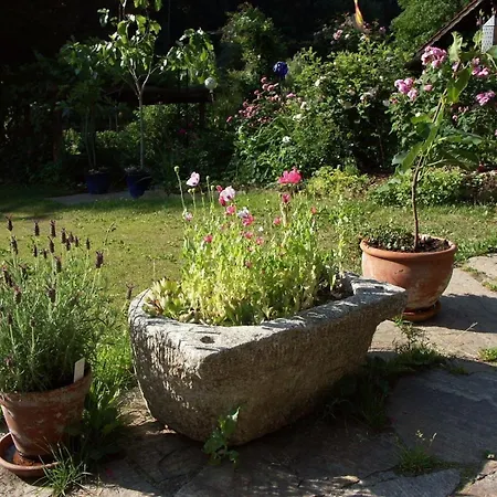 Holiday home Himmelreichmuehle In Sausal Rettenberg