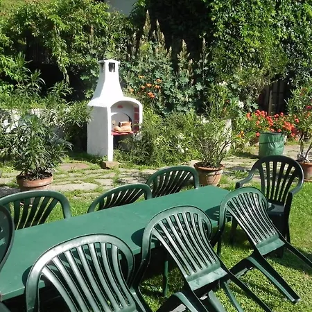 Himmelreichmuehle In Sausal Feriehus